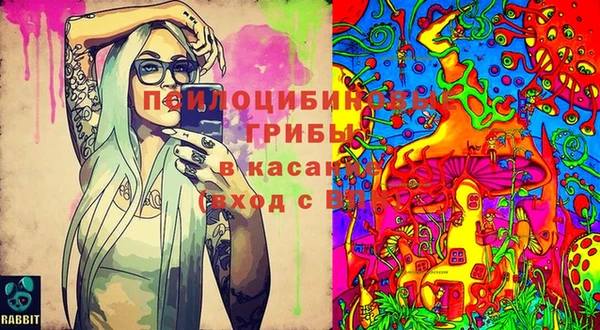 бошки Алзамай