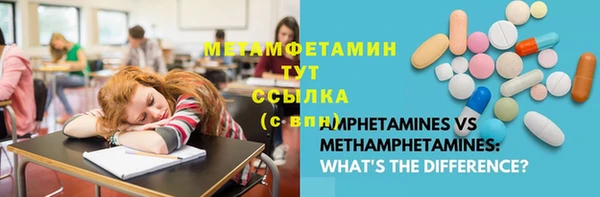 ПСИЛОЦИБИНОВЫЕ ГРИБЫ Няндома