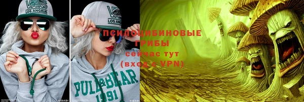 дживик Абаза