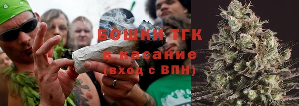 ПСИЛОЦИБИНОВЫЕ ГРИБЫ Няндома